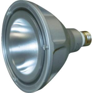 ビーム電球型LEDランプ PHOENIX LDR100200V8LWE2612-6185｜n-tools