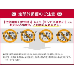【定形外郵便】日進医療器 シルバーエンピシン(...の詳細画像1