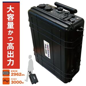 日本プロフィックス・エンジニアリング PVS-3000 （ポータブルバッテリー リチウムイオンバッテリー ポータブル蓄電池 BCP対策）