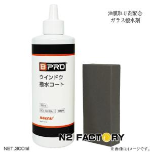 PITWORK 日産 ピットワークガラス撥水・油膜取り 100ml ウインド撥水