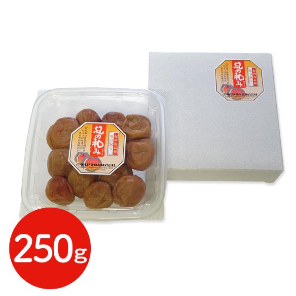 紀州南高梅 梅干し うめぼし はちみつ梅 250g ギフト 送料無料  和歌山 シイレル