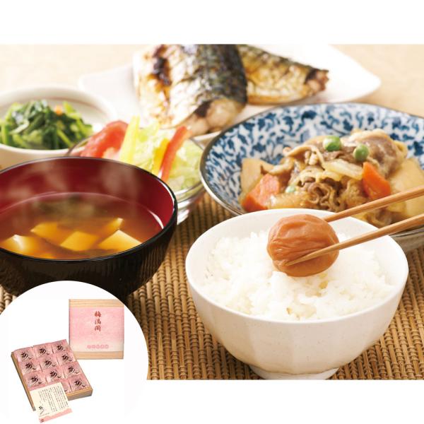 梅干し ギフト 個包装 ご飯のお供 和歌山 紀州南高梅 梅満開 うす塩味 (塩分約6%) 240g ...