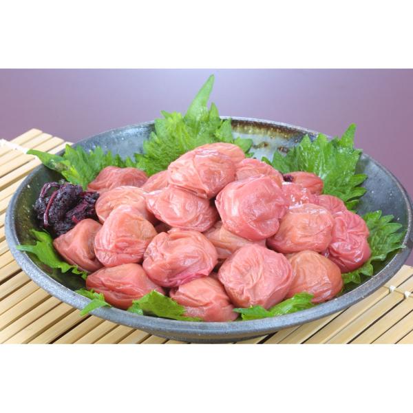 和歌山 紀州南高梅 昔風味 しそ入 500g×2  お中元 お歳暮 母の日 父の日 内祝 プレゼント...