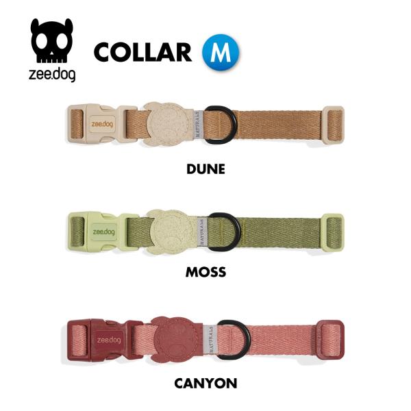 2023　カラー　Mサイズ　首輪　ZEE DOG ジードッグ　zeedog ZEEDOG
