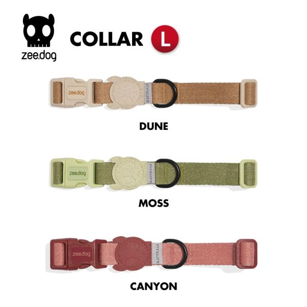 2023　カラー　Lサイズ　首輪　ZEE DOG ジードッグ　zeedog ZEEDOG