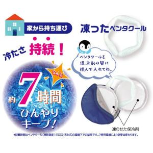 【送料無料!ポイント10倍】2個入り保冷ポーチ...の詳細画像4