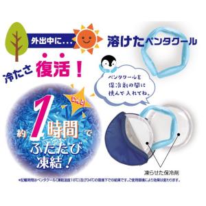 【送料無料!ポイント10倍】2個入り保冷ポーチ...の詳細画像5