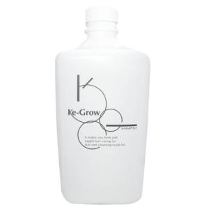 セット エラバシェ シャンプー + ヘアトリートメント 500ml Ella