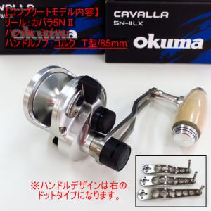 Abu Garcia ○アブガルシア ソルティーステージ プロトタイプ Abu Garcia ○アブガルシア ソルティーステージ プロトタイプ
