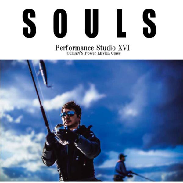 SOULS　レベルシリーズ　PS-O83L10S