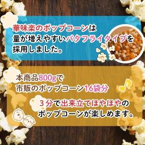 無添加 ポップコーン豆 800g 3分で出来立...の詳細画像2