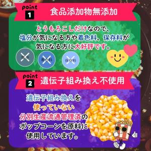 無添加 ポップコーン豆 800g 3分で出来立...の詳細画像3