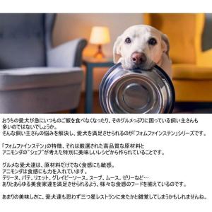 最短賞味2028.2・アニモンダ 高齢犬フォム...の詳細画像3