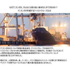 最短賞味2027.4・アニモンダ 猫 フォムフ...の詳細画像4