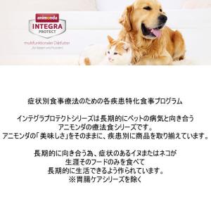 最短賞味2027.12・アニモンダ 犬 インテ...の詳細画像3