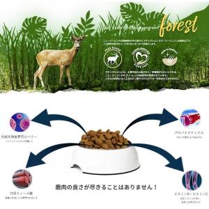 最短賞味2028.1.23・アディクション 猫...の詳細画像1