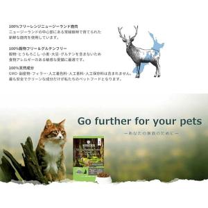 最短賞味2028.1.23・アディクション 猫...の詳細画像4