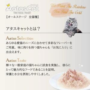 最短賞味2028.5・アタスキャット ソウルス...の詳細画像2