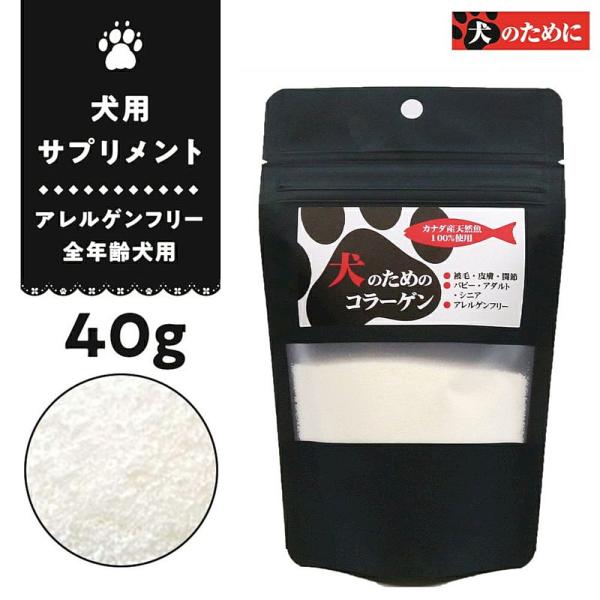 最短賞味2027.5・Biペットランド 犬のためのコラーゲン 40g bi35945犬用サプリメント