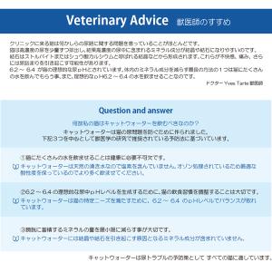 最短賞味2028.4・pH バランス キャット...の詳細画像5