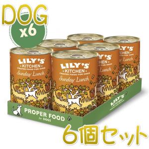 最短賞味2024.11・リリーズキッチン 犬 日曜日のランチ・ドッグ 400g×6個 lid034cs（個別日本語ラベルなし）｜nachu