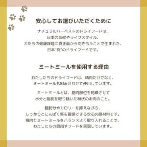 最短賞味2027.11・ナチュラルハーベスト ...の詳細画像4