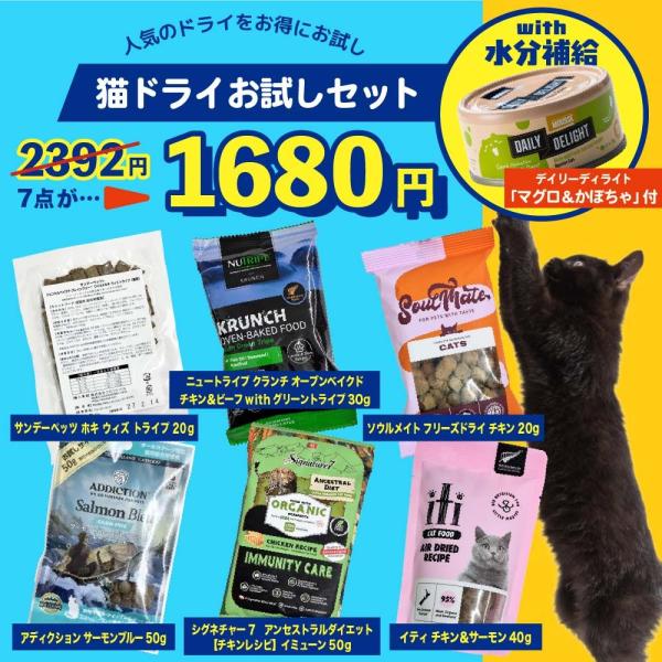 NEW 最短賞味2026.12・なちゅのごはん 猫用ドライお試し＆水分補給セット！nset2608 ...