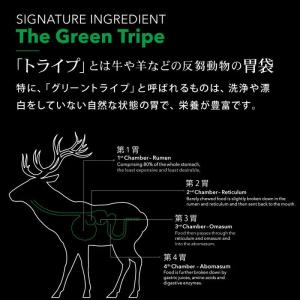 最短賞味2028.1.27・ニュートライプ 猫...の詳細画像2