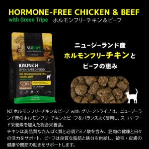 最短賞味2028.1.27・ニュートライプ 猫...の詳細画像5
