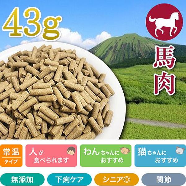 最短賞味2026.10・プライムケイズ 長寿一番 馬 43g 全年齢対応 産地厳選 国産 無添加ごは...