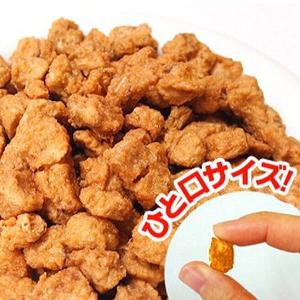 最短賞味2027.7・プライムケイズ 鮭ビッツ 40g 犬猫用おやつ 北海道産 国産無添加 さかい企画Prime KS pr30991｜なちゅのごはんヤフー店