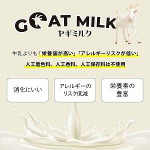 最短賞味2028.11・シグネチャー7 キャッ...の詳細画像4