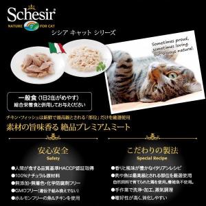 最短賞味2028.2・シシア 猫 キャット(ツ...の詳細画像4
