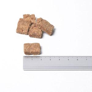 最短賞味2026.10・サンデーペッツ お試し...の詳細画像1