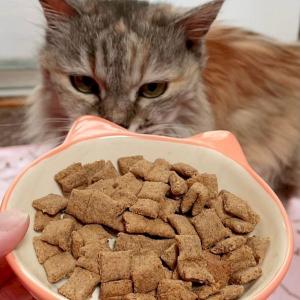 最短賞味2027.2・サンデーペッツ 猫 お試...の詳細画像4