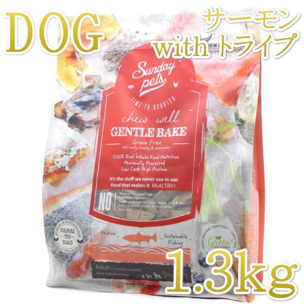 最短賞味2026.12.26・サンデーペッツ ジェントルベイク キングサーモン ウイズ トライプ1....