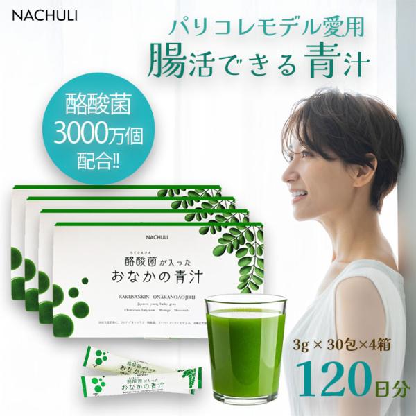 酪酸菌が入ったおなかの青汁　120日分　4箱セット