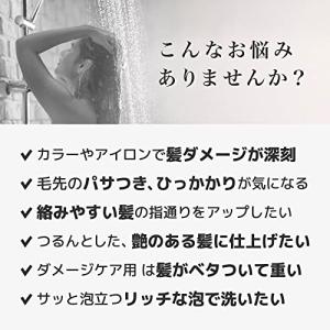 いち髪 THE PREMIUM 【シャイニーモ...の詳細画像2