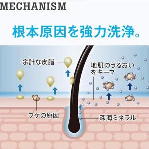 h&s for men(エイチアンドエ...の詳細画像5