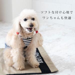 犬 オムツ サスペンダー 胸当て付き 3点留め...の詳細画像3