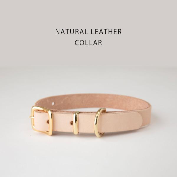 お名前無料刻印 犬 首輪 犬用  レザー 本革 ヌメ革 小型犬 中型犬 名入れ  犬の首輪 おしゃれ...