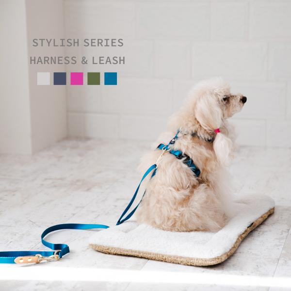 今なら本革製ネームタグプレゼント 日本製 犬 犬用 ハーネス リード セット スタイリッシュシリーズ...