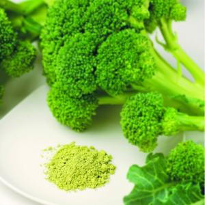 野菜パウダー ブロッコリーファインパウダー 40g