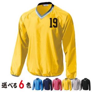 ベーシックピステ　ナンバープリント  (p1280-no)　　　オリジナルプリント 名入れ 名前プリ...