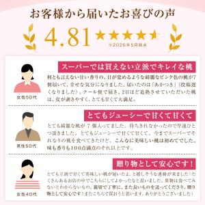 桃 福島 ミスピーチ 特秀品 あかつき 品種限...の詳細画像4