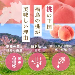 桃 福島 ミスピーチ 特秀品 あかつき 品種限...の詳細画像5