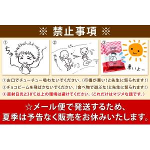 デキシー マーシャルビンズ マーシャルビーンズ...の詳細画像5