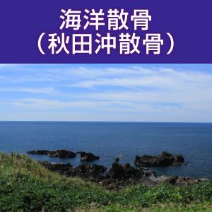 海洋散骨 秋田沖 秋田県 散骨代行 海洋葬 粉骨｜nadasoso-store