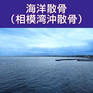 海洋散骨 相模湾沖 神奈川県 散骨代行 海洋葬 粉骨｜nadasoso-store