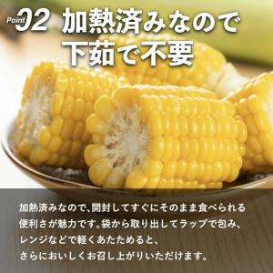 とうもろこし 真空パック 4本 レトルト 清水...の詳細画像2
